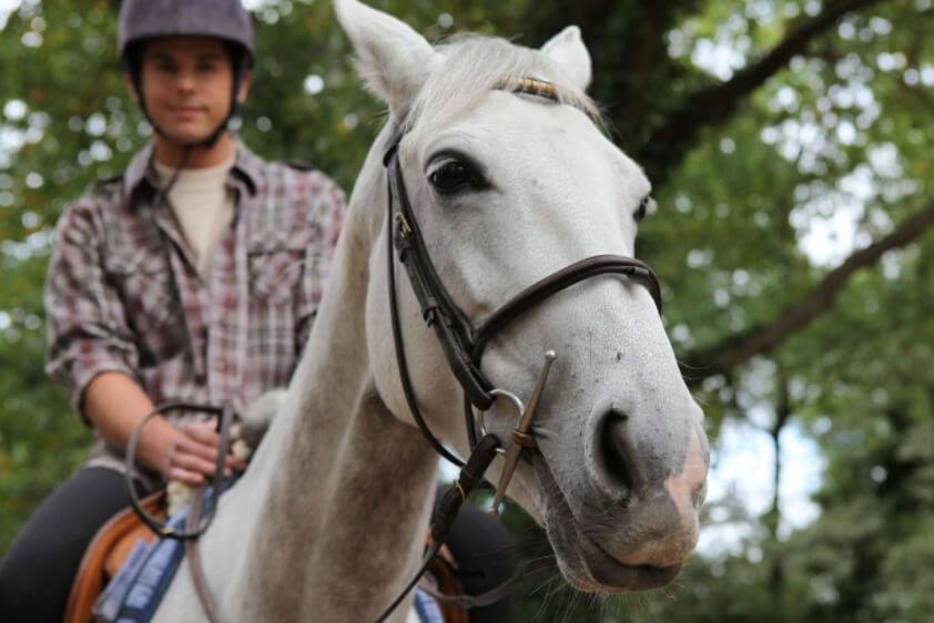 horseback riding safety from pt