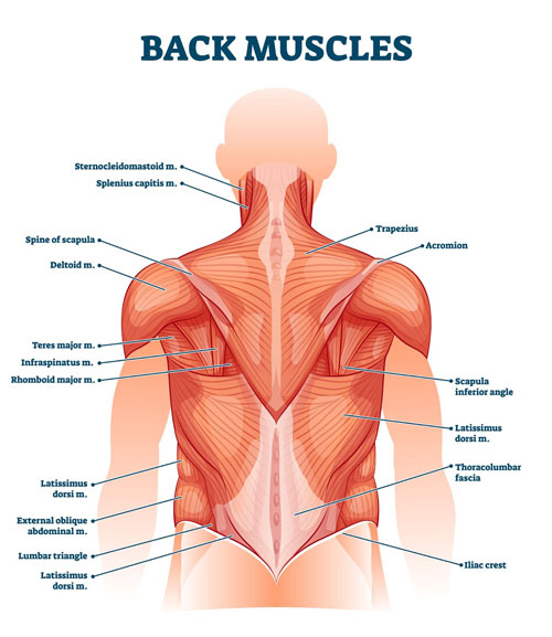 Lower back pain